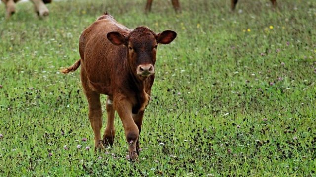 <p>
	<em>Снимка: Pixabay</em></p>
