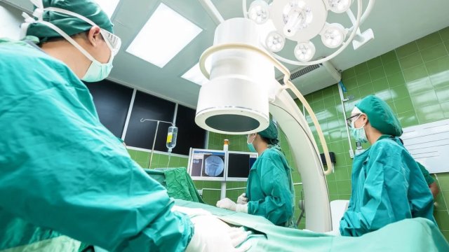 Снимка: Pixabay