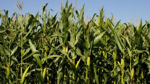 <p>
	<em>Снимка: Ройтерс</em></p>
