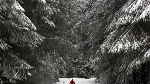 <p>
	<em>Снимка: Ройтерс</em></p>
