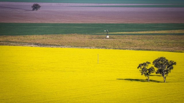 <p>
	Снимка: David/Gray Bloomberg</p>
