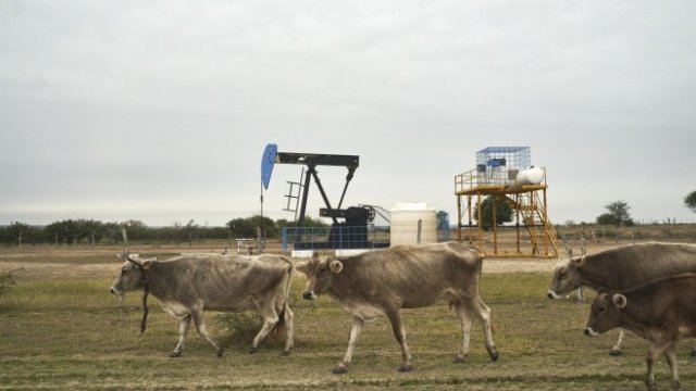 <p>
	<em>Снимка:&nbsp;Mauricio Palos/Bloomberg</em></p>
