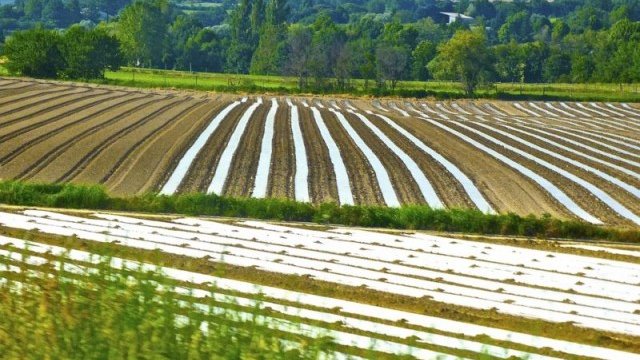 <p>
	<em>Снимка: Pixabay</em></p>
