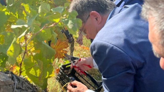 <p>
	<em>Снимка: МЗХГ</em></p>
