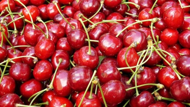 <p>
	<em>Снимка: Pixabay</em></p>
