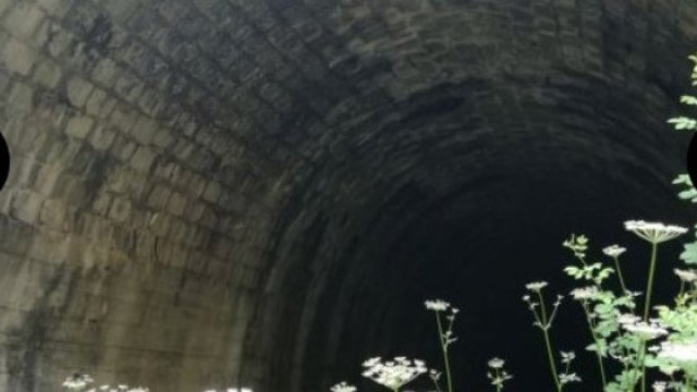 Снимка: Investor.bg (архив)