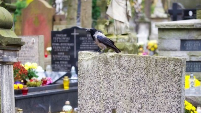 <p>
	<em>Снимка: Pixabay</em></p>
