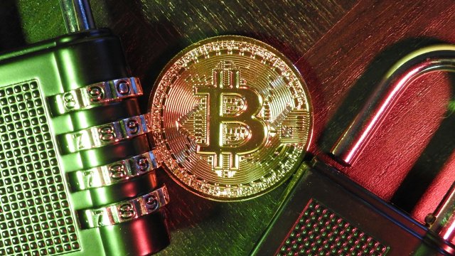 Снимка: pexels.com