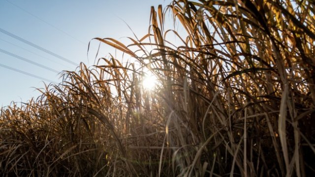 <p>
	<em>Снимка: Bloomberg</em></p>
