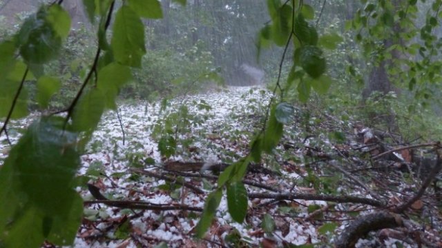 <p>
	<em>Снимка: Pixabay</em></p>
