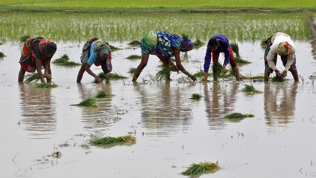 <p>
	<em>Снимка: архив Ройтерс</em></p>
