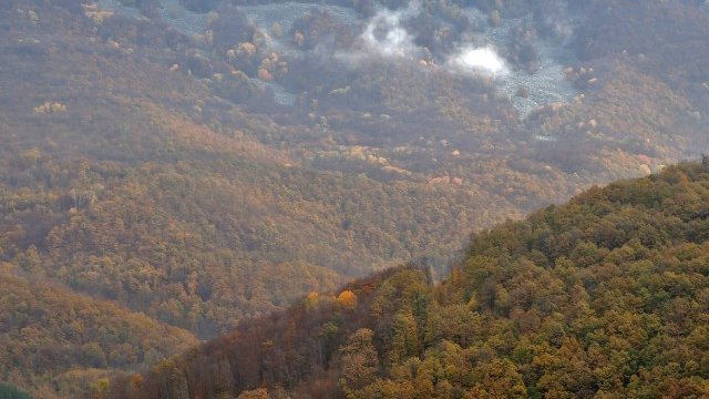 <p>
	<em>Снимка: БТА</em></p>
