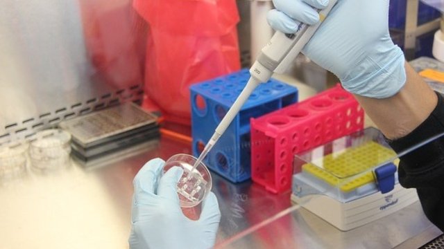 Снимка: Pixabay