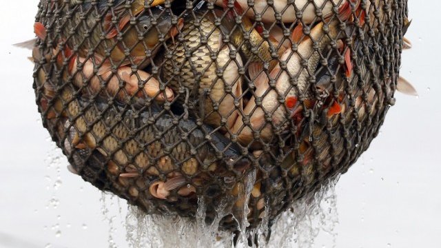 <p>
	<em>Снимка: архив, Ройтерс</em></p>
