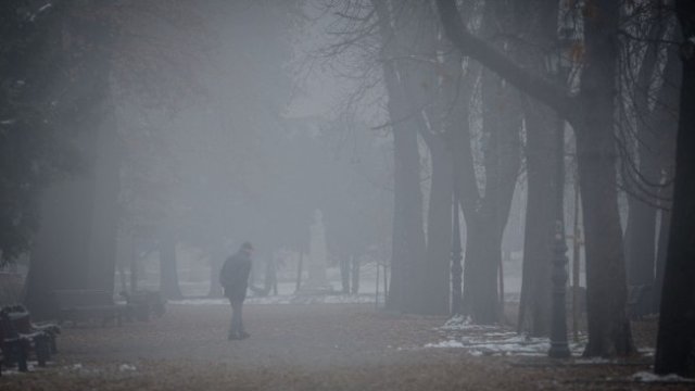 <p>
	<em font-size:="" pt="" style="color: rgb(102, 102, 102); font-family: ">Снимка: Димитър Кьосемарлиев, Investor Media Group</em></p>
