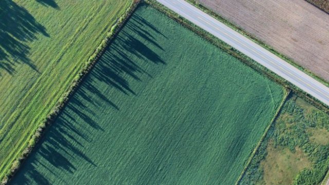 <p>
	<em>Снимка: Pixabay</em></p>
