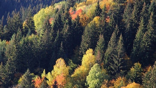 <p>
	<em>Снимка: БТА</em></p>
