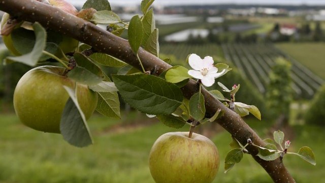 <p>
	<em>Снимка: Ройтерс</em></p>
