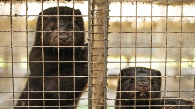 <p>
	<em>Снимка:&nbsp;Cathrine Ertmann, Bloomberg</em></p>
