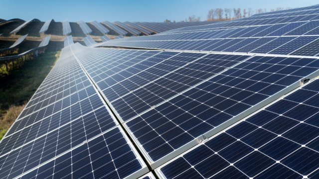 Снимка: Freepik.com