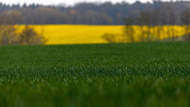 Снимка: Krisztian Bocsi/Bloomberg