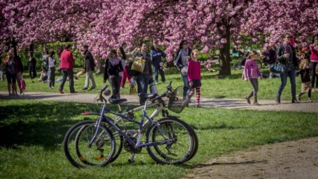 <p>
	<em>Снимка: БТА</em></p>
