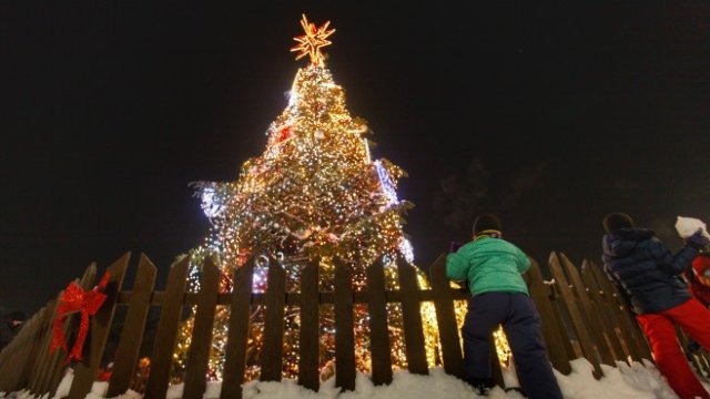 <p>
	<em>Снимка: Димитър Кьосемарлиев/Investor Media Group</em></p>
