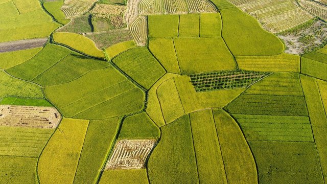 Снимка: Pixabay