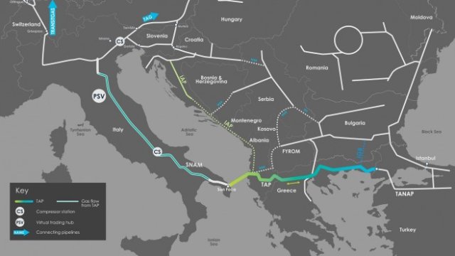 <p>
	<em>Графика: TAP AG</em></p>
