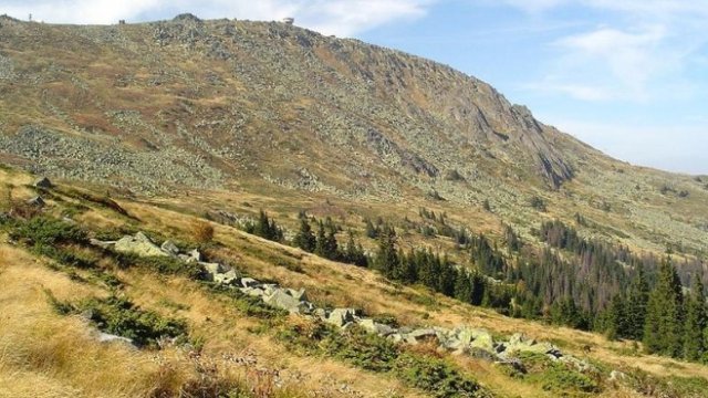 <p>
	<em>Снимка: МОСВ</em></p>
