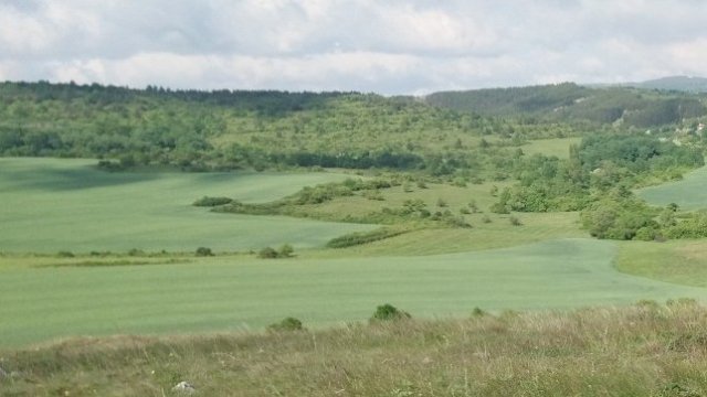 <p>
	<em>Снимка: Pixabay</em></p>
