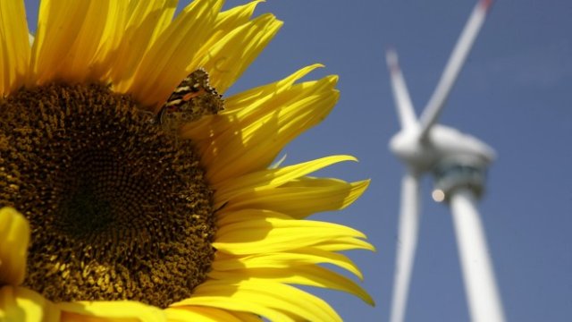 <p>
	<em>Снимка: pixabay.com</em></p>
