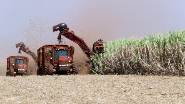 <p>
	<em>Снимка: Ройтерс</em></p>
