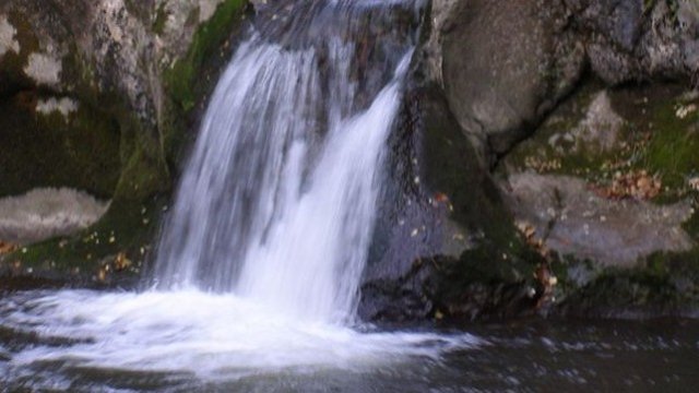 <p>
	<em>Снимка: Община Трън</em></p>
