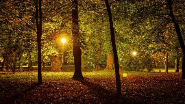 <p>
	<em>Снимка: Pixabay</em></p>
