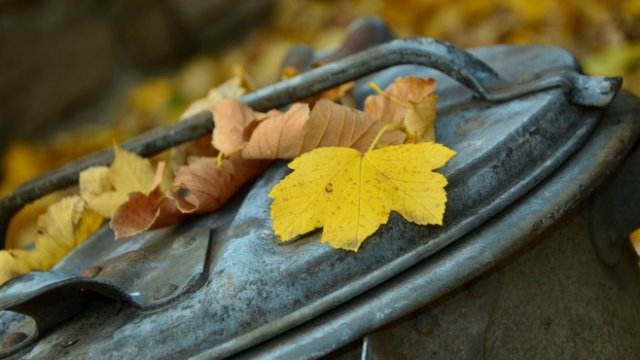 <p>
	<em>Снимка:Pixabay</em></p>
