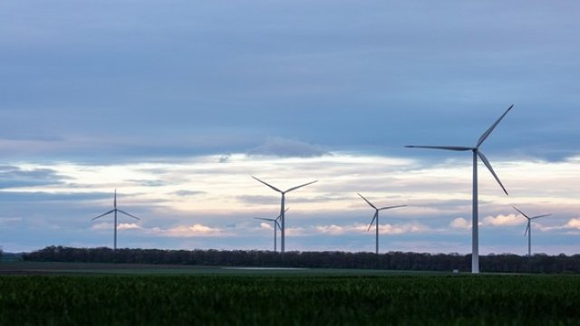 <p>
	<em>Снимка: AES</em></p>
