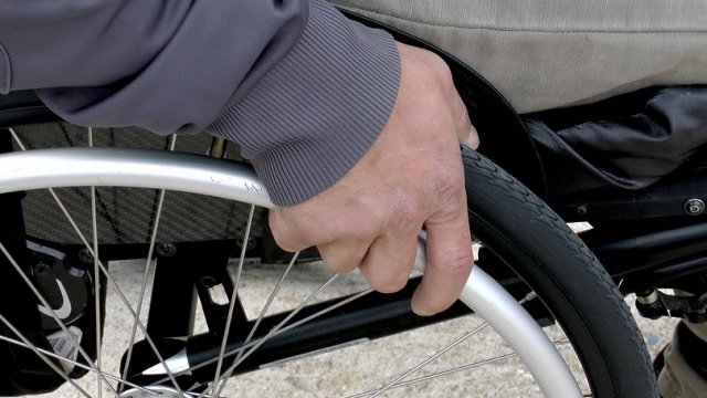 <p>
	<em>Снимка: Pixabay</em></p>
