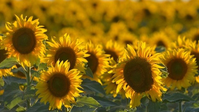 <p>
	<em>Снимка: БТА</em></p>
