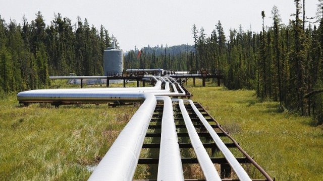 <p>
	Снимка: <em>Ройтерс</em></p>
