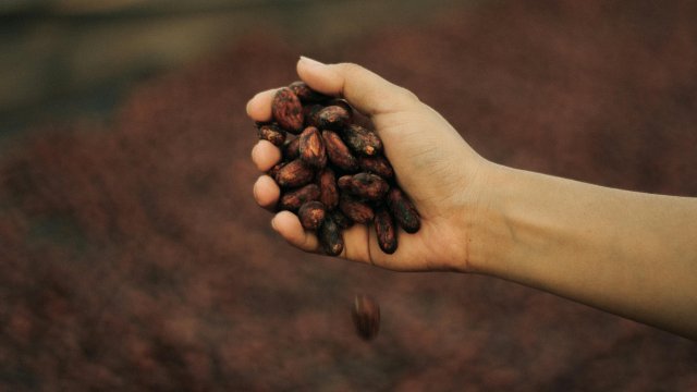 Снимка: pexels.com