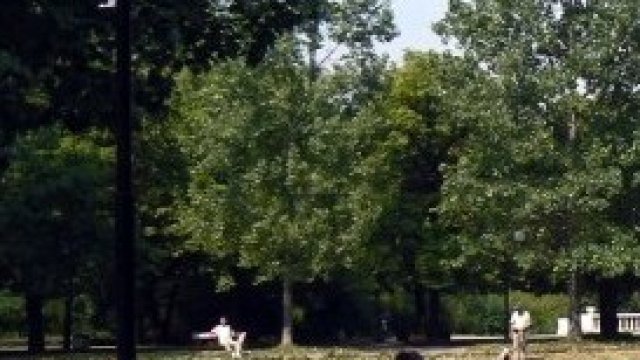 <p>
	<em>Снимка: Wikipedia</em></p>
