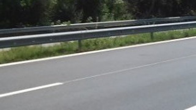 <p>
	<em>Снимка: АПИ</em></p>
