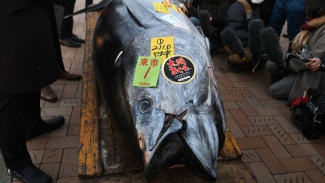 <p>
	<em>Снимка: Bloomberg L.P.</em></p>
