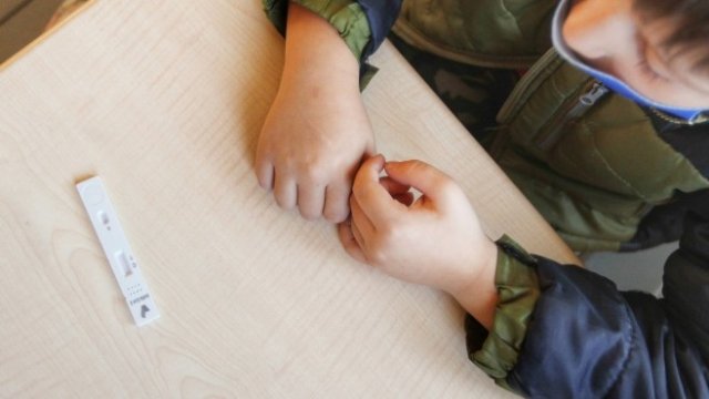 <p>
	<em font-size:="" pt="" style="color: rgb(102, 102, 102); font-family: ">Снимка: Димитър Кьосемарлиев, Investor Media Group</em></p>
