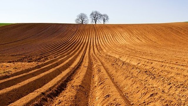 <p>
	<em>Снимка: Pixabay</em></p>
