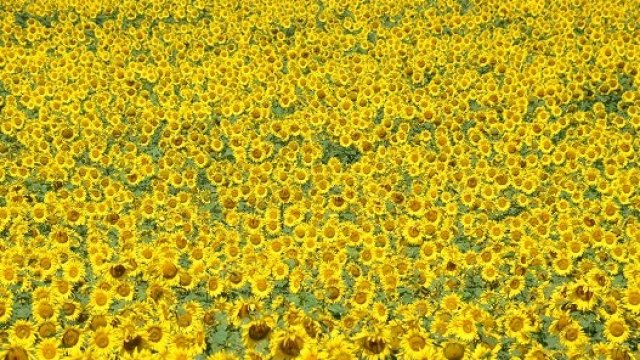 <p>
	<em>Снимка: БТА</em></p>
