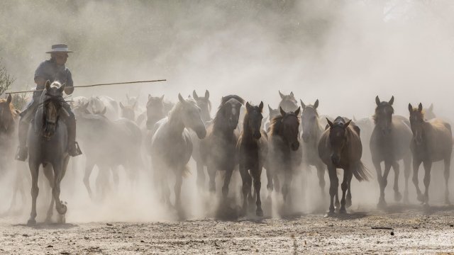 Снимка: EPA/ALBERTO DIAZ