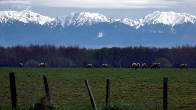 <p>
	<em>Снимка: Архив Ройтер</em></p>
