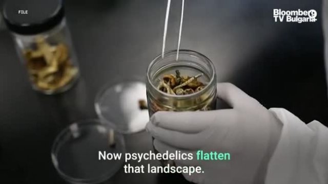 Халюциногенните гъби могат да помагат при депресия?